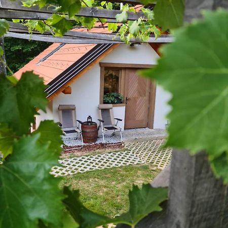 Zidanica Zagar Villa Dolenjske Toplice Eksteriør bilde