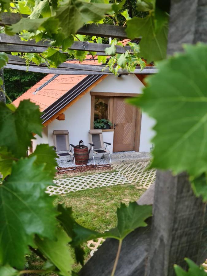 Zidanica Zagar Villa Dolenjske Toplice Eksteriør bilde